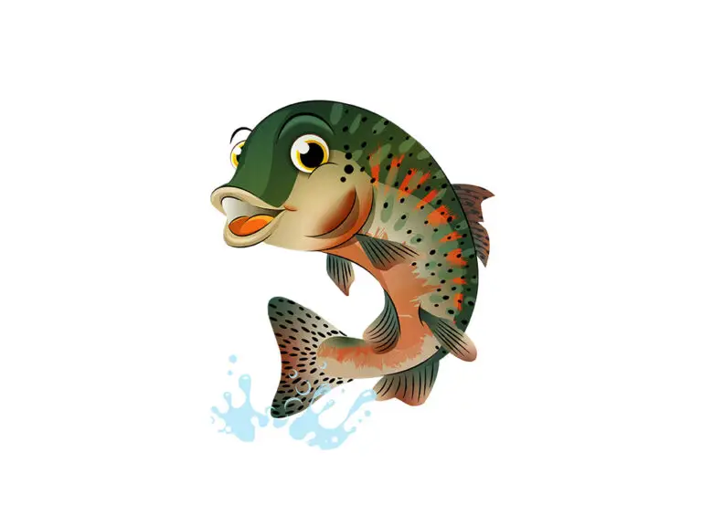 Trout